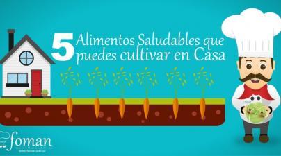 cultivar en casa