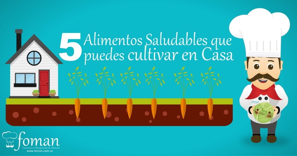 cultivar en casa