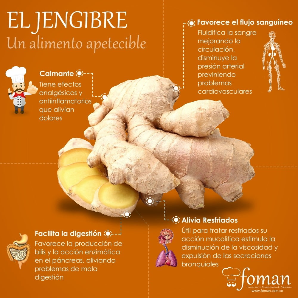El jengibre jengibre