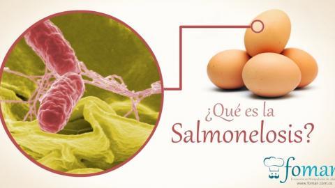 Salmonelosis