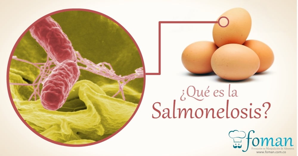 Salmonelosis