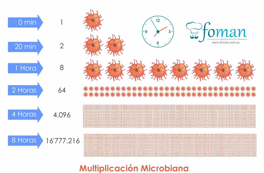 Multiplicacion_Bacteriana_FOMAN