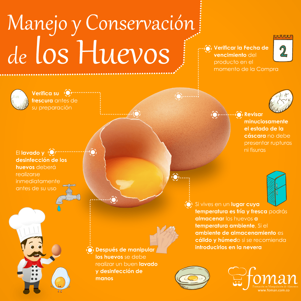 Manejo y conservacion de los huevos FOMAN