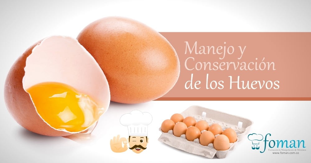 Conservación de los Huevos