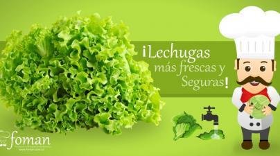 Lechugas más frescas y Seguras