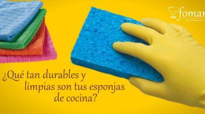 esponjas de cocina