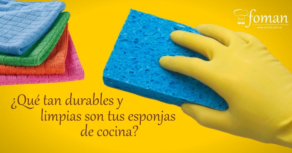 esponjas de cocina
