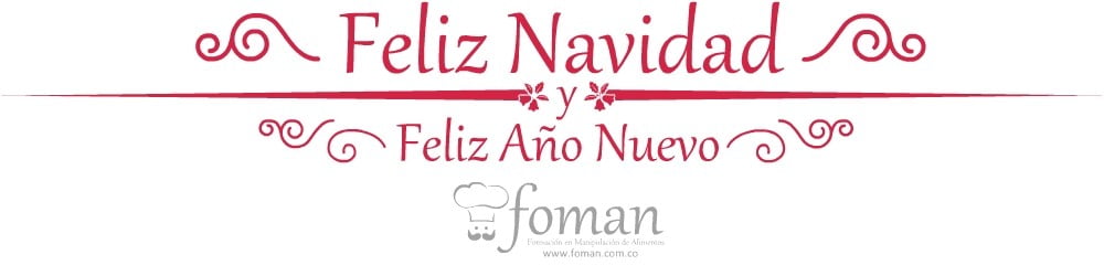 Feliz Navidad y Feliz Año Nuevo