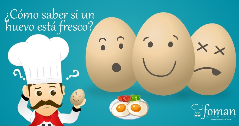 huevo fresco