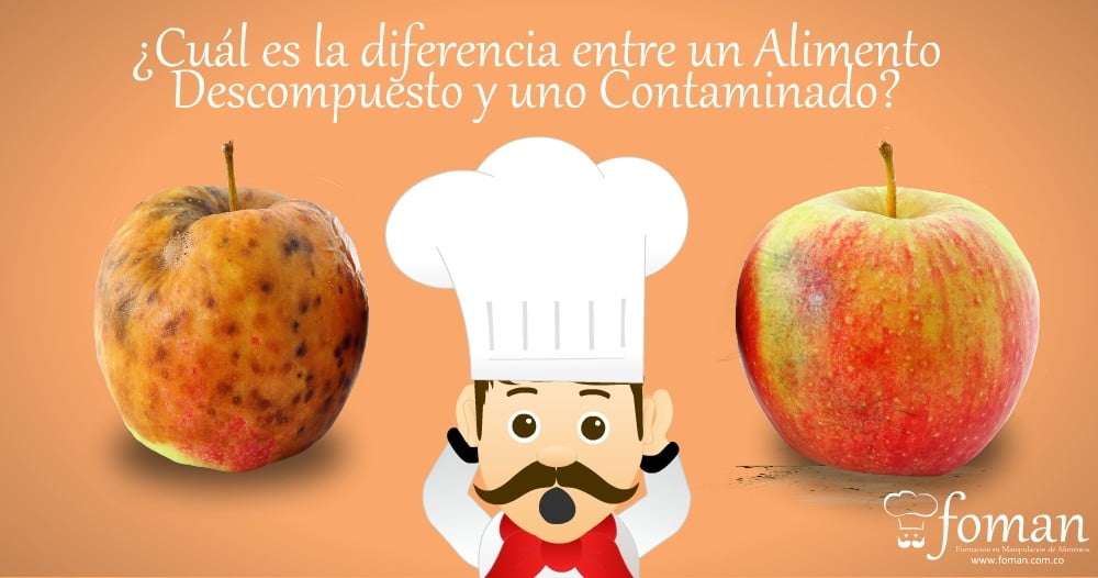 alimento descompuesto y contaminado