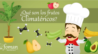 frutos Climatéricos FOMAN