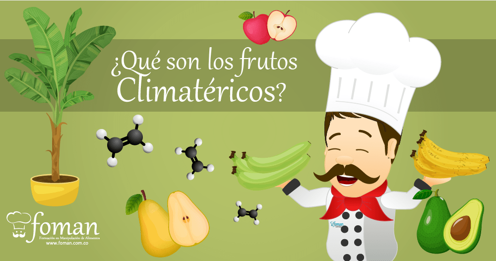 frutos Climatéricos FOMAN