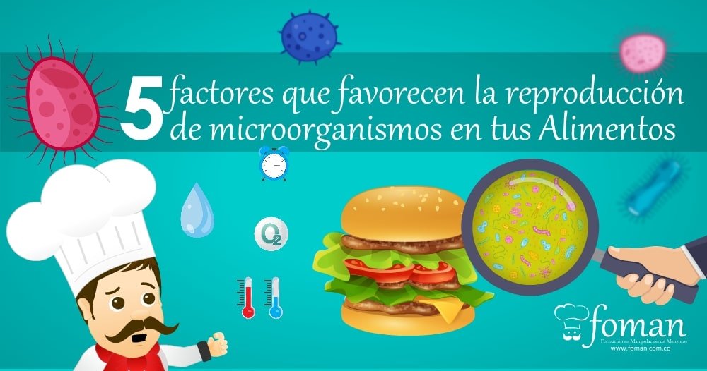 5 factores que favorecen la reproducción de los microorganismos en los alimentos