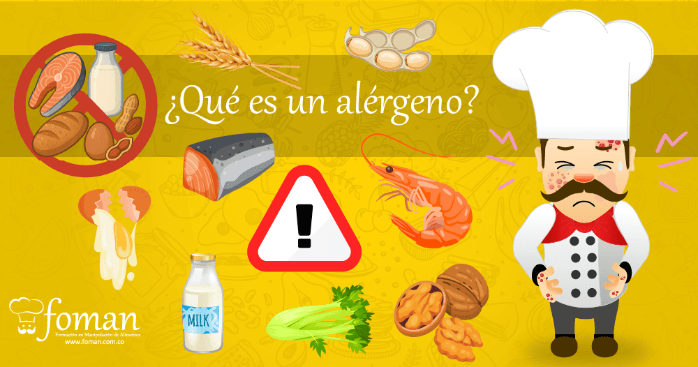 ¿Qué es un alérgeno alimentario?
